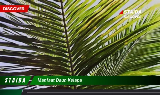 manfaat daun kelapa