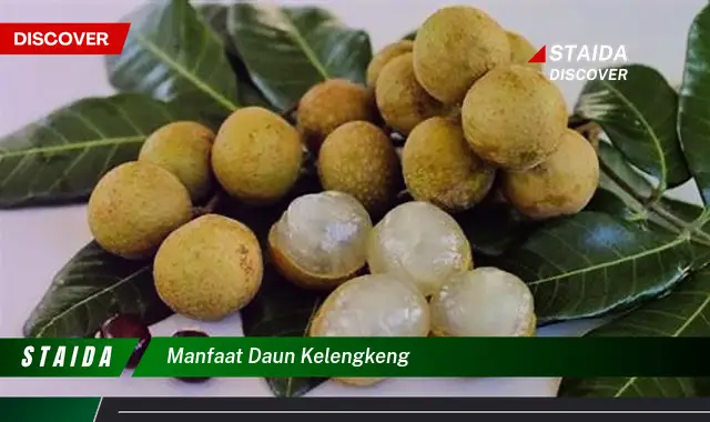 manfaat daun kelengkeng