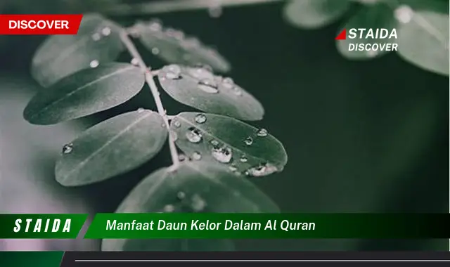 manfaat daun kelor dalam al quran