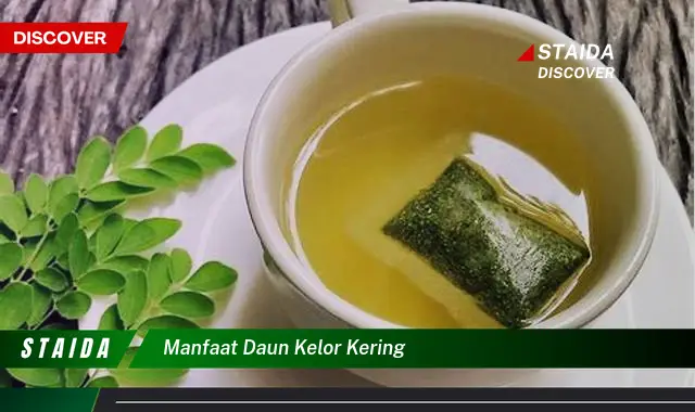 manfaat daun kelor kering