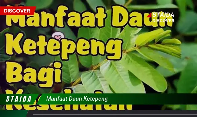 manfaat daun ketepeng