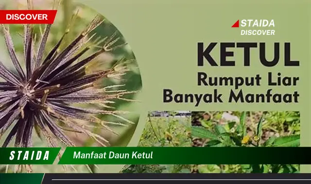 manfaat daun ketul