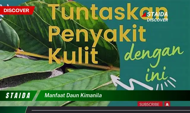 manfaat daun kimanila