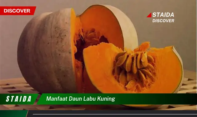 manfaat daun labu kuning