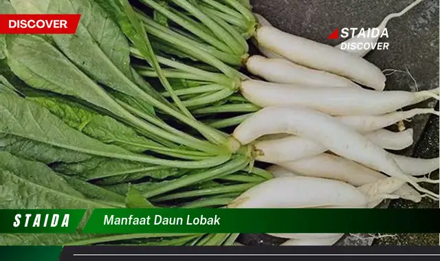 manfaat daun lobak