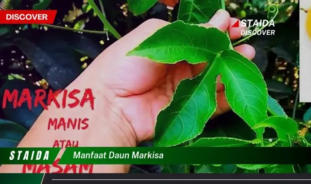 manfaat daun markisa