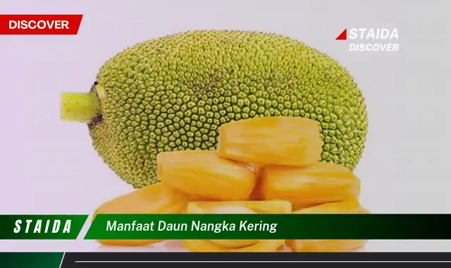 manfaat daun nangka kering