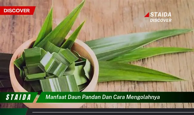 manfaat daun pandan dan cara mengolahnya