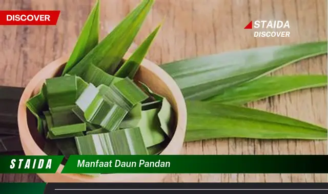 manfaat daun pandan