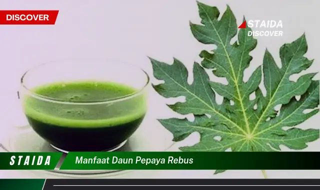 manfaat daun pepaya rebus