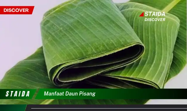 manfaat daun pisang