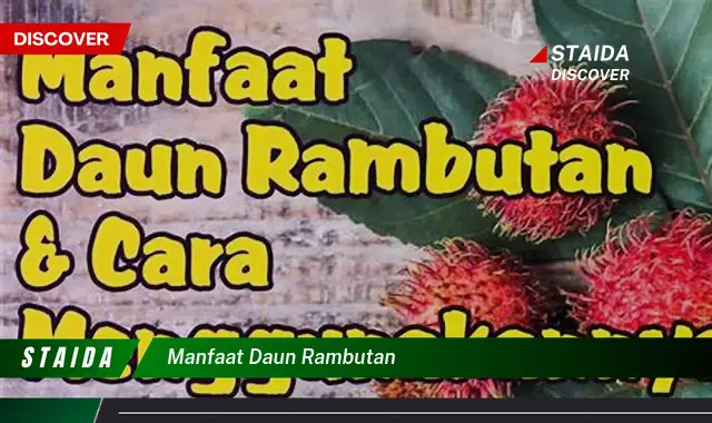 manfaat daun rambutan