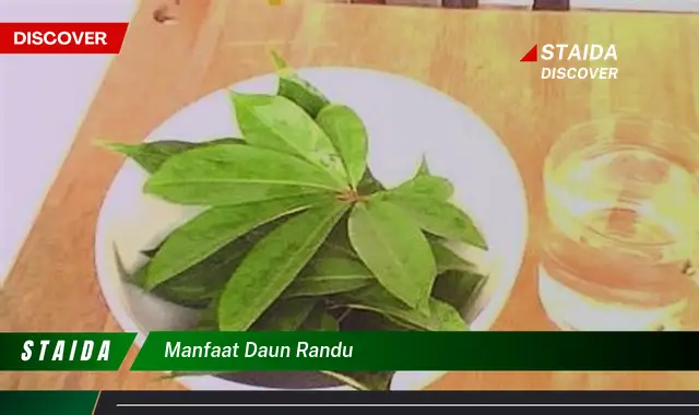 manfaat daun randu