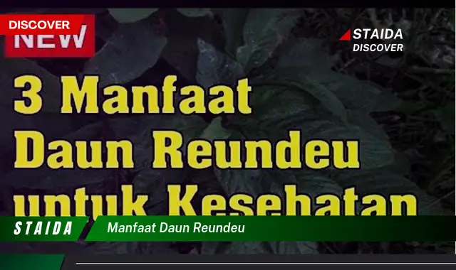 manfaat daun reundeu