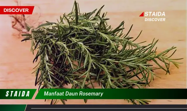 manfaat daun rosemary