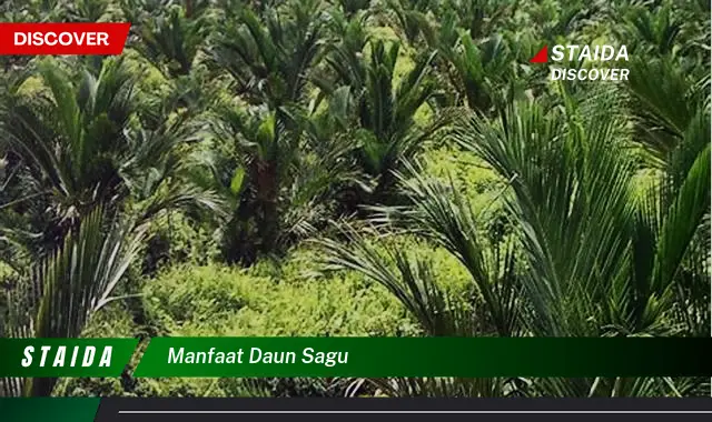 manfaat daun sagu