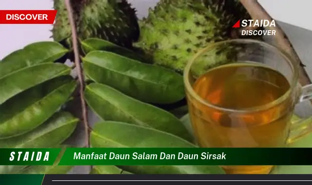 manfaat daun salam dan daun sirsak