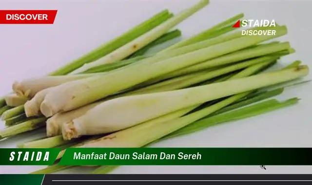 manfaat daun salam dan sereh