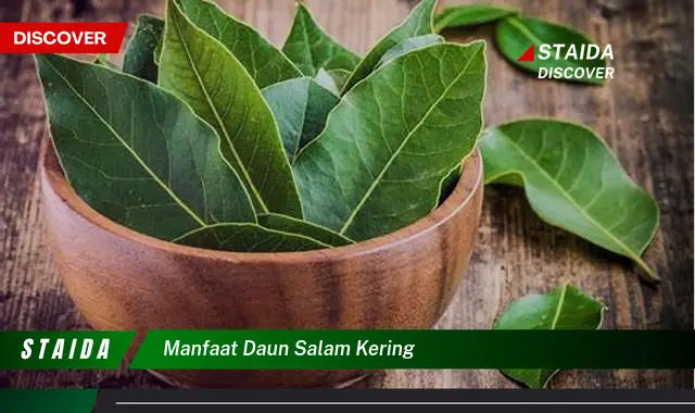 manfaat daun salam kering