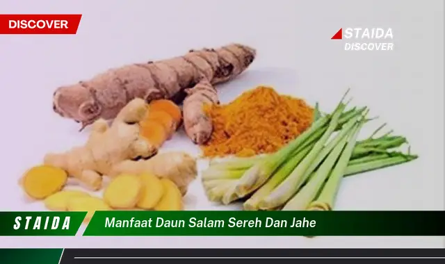 manfaat daun salam sereh dan jahe