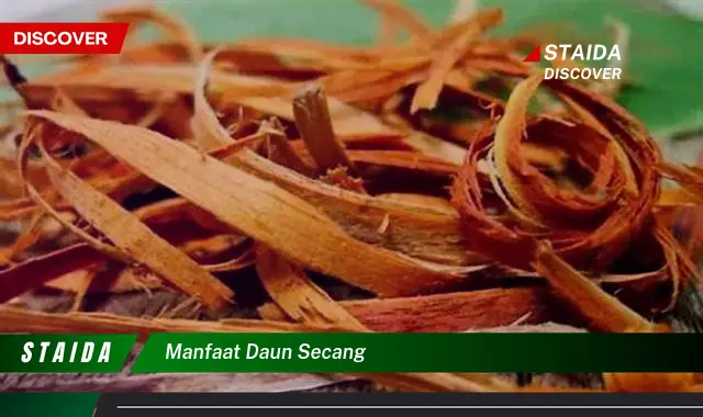 manfaat daun secang