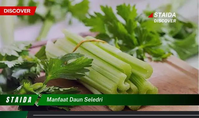 manfaat daun seledri