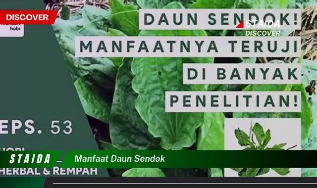 manfaat daun sendok