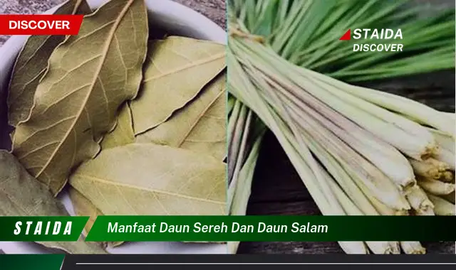 manfaat daun sereh dan daun salam