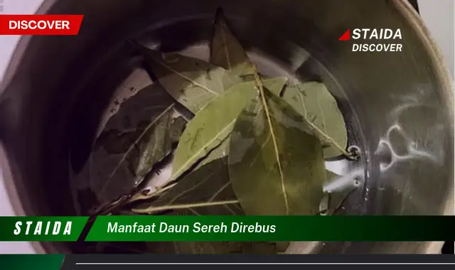 manfaat daun sereh direbus