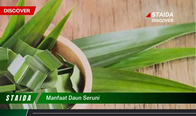 manfaat daun seruni