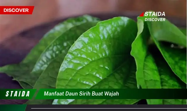 manfaat daun sirih buat wajah