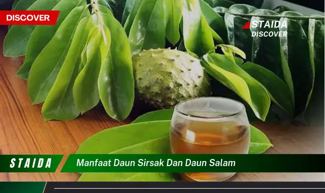 manfaat daun sirsak dan daun salam