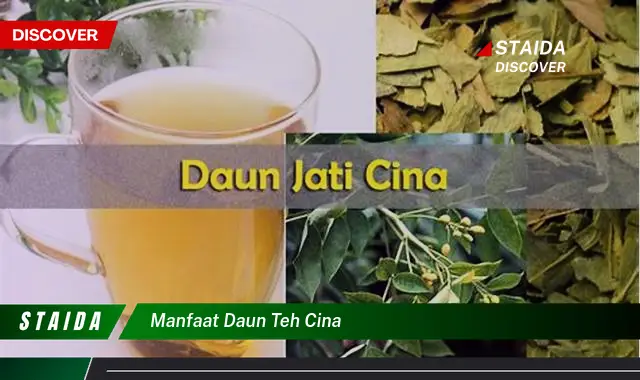 manfaat daun teh cina