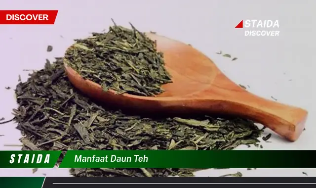 manfaat daun teh