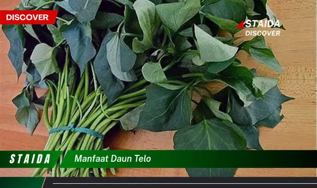 manfaat daun telo