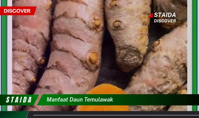 manfaat daun temulawak