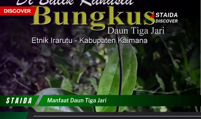 manfaat daun tiga jari