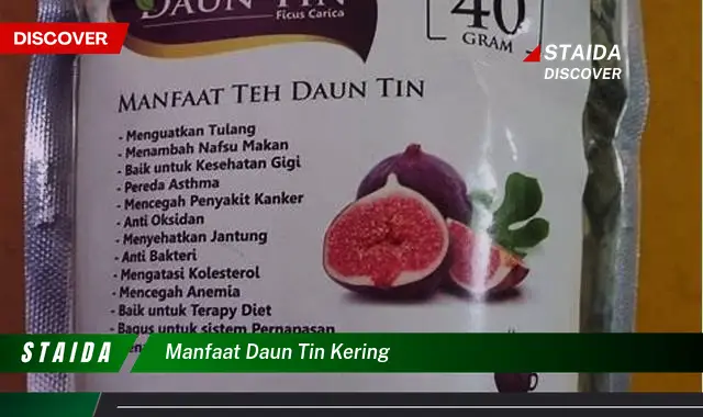 manfaat daun tin kering