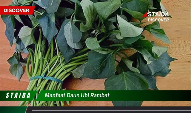 manfaat daun ubi rambat