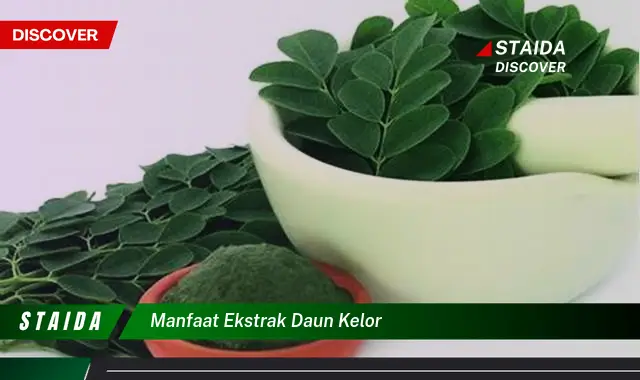 manfaat ekstrak daun kelor