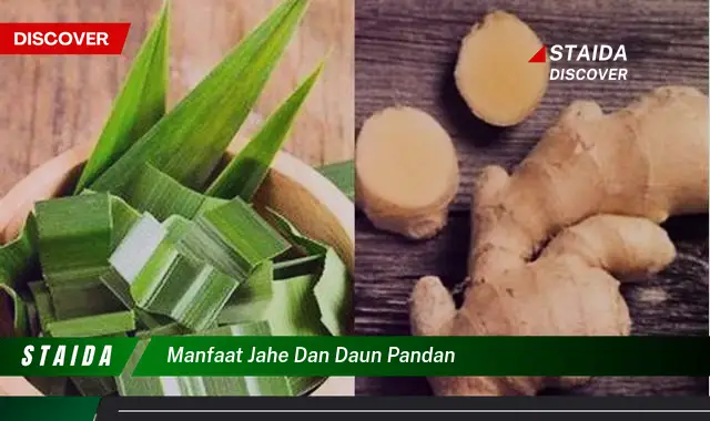 manfaat jahe dan daun pandan