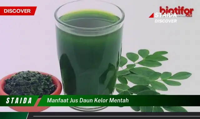 manfaat jus daun kelor mentah