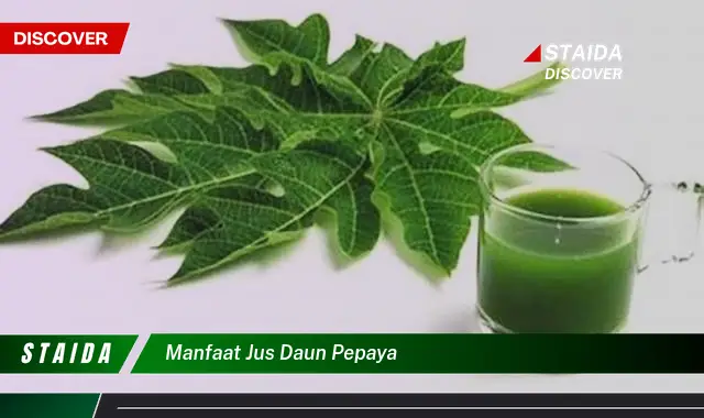 manfaat jus daun pepaya