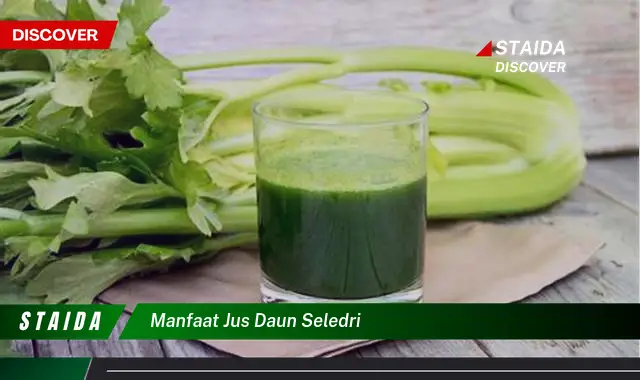 manfaat jus daun seledri