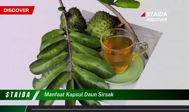 manfaat kapsul daun sirsak