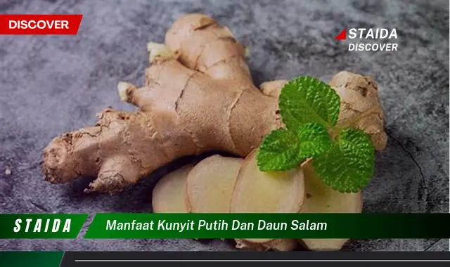 manfaat kunyit putih dan daun salam