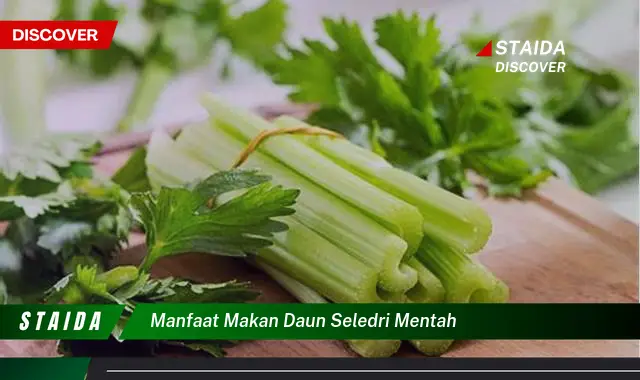 manfaat makan daun seledri mentah