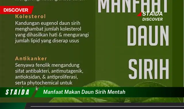 manfaat makan daun sirih mentah