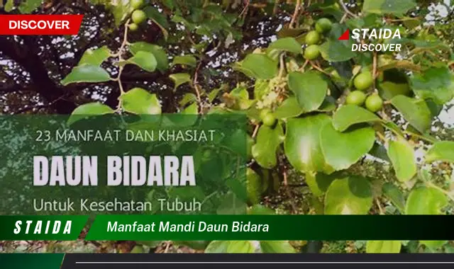 manfaat mandi daun bidara