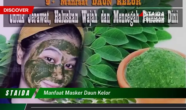 manfaat masker daun kelor